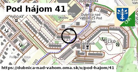 Pod hájom 41, Dubnica nad Váhom