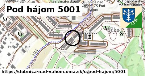 Pod hájom 5001, Dubnica nad Váhom