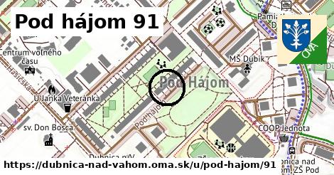 Pod hájom 91, Dubnica nad Váhom