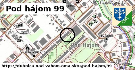 Pod hájom 99, Dubnica nad Váhom