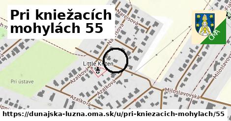 Pri kniežacích mohylách 55, Dunajská Lužná