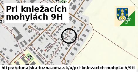 Pri kniežacích mohylách 9H, Dunajská Lužná