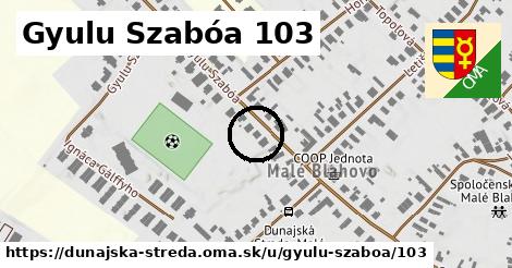 Gyulu Szabóa 103, Dunajská Streda