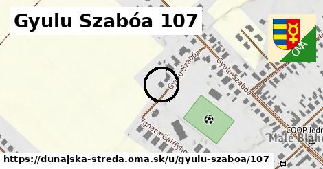 Gyulu Szabóa 107, Dunajská Streda