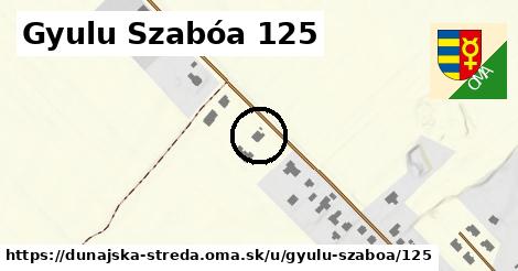 Gyulu Szabóa 125, Dunajská Streda