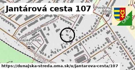 Jantárová cesta 107, Dunajská Streda