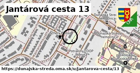 Jantárová cesta 13, Dunajská Streda