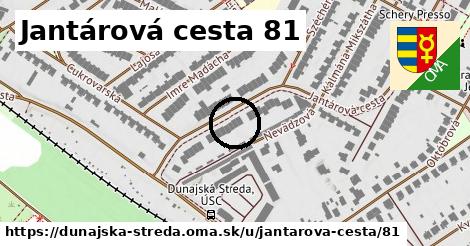 Jantárová cesta 81, Dunajská Streda