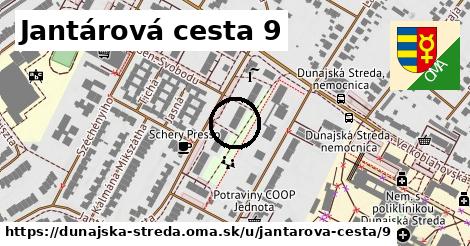 Jantárová cesta 9, Dunajská Streda