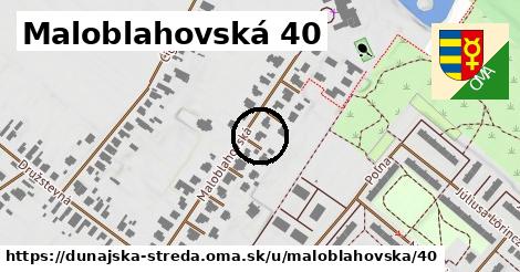 Maloblahovská 40, Dunajská Streda