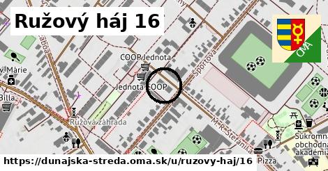 Ružový háj 16, Dunajská Streda