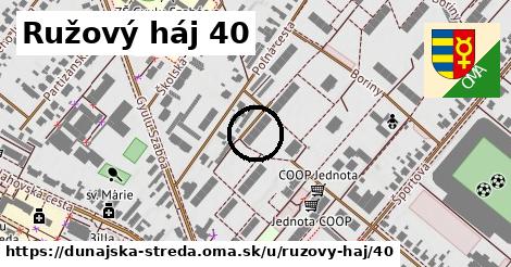 Ružový háj 40, Dunajská Streda