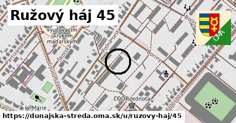 Ružový háj 45, Dunajská Streda