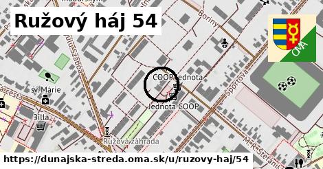 Ružový háj 54, Dunajská Streda