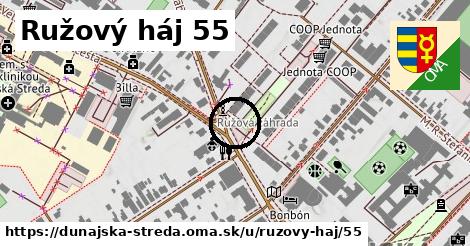 Ružový háj 55, Dunajská Streda