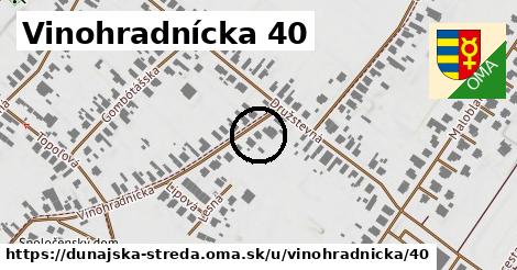 Vinohradnícka 40, Dunajská Streda