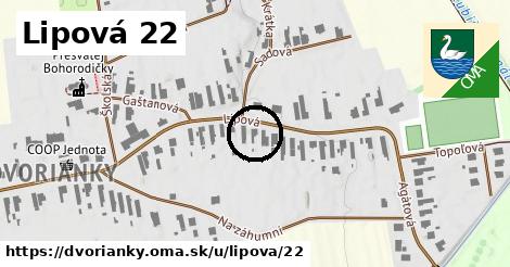 Lipová 22, Dvorianky