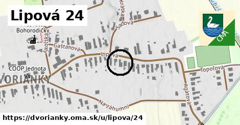 Lipová 24, Dvorianky