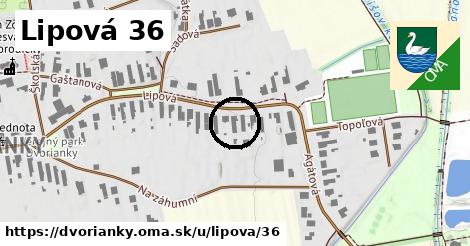 Lipová 36, Dvorianky