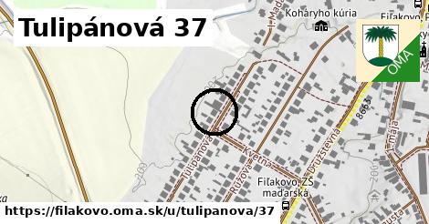 Tulipánová 37, Fiľakovo