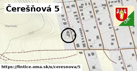 Čerešňová 5, Fintice