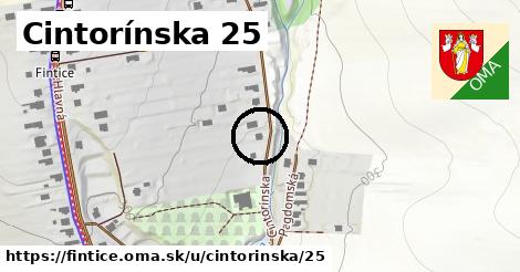 Cintorínska 25, Fintice