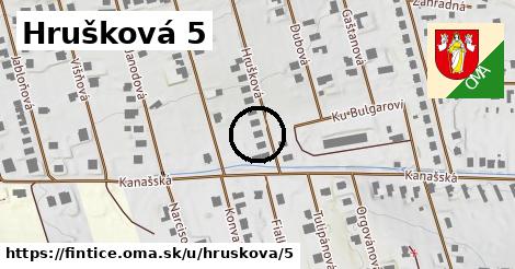 Hrušková 5, Fintice