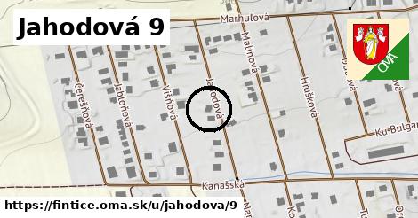 Jahodová 9, Fintice