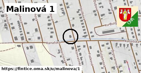 Malinová 1, Fintice