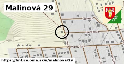 Malinová 29, Fintice
