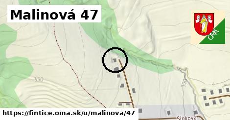 Malinová 47, Fintice
