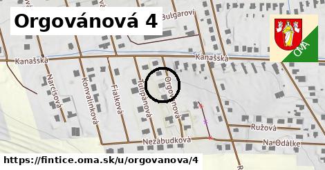 Orgovánová 4, Fintice
