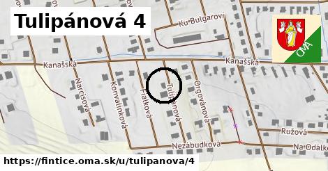 Tulipánová 4, Fintice