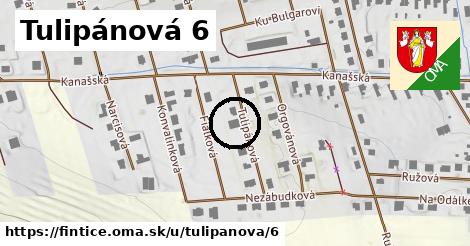 Tulipánová 6, Fintice