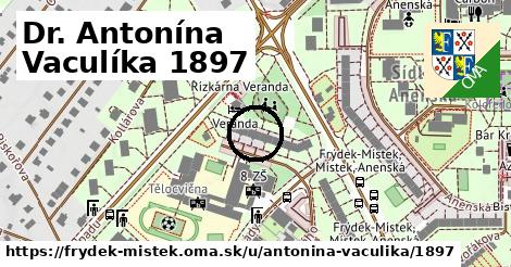 Dr. Antonína Vaculíka 1897, Frýdek-Místek