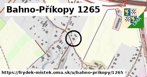 Bahno-Příkopy 1265, Frýdek-Místek
