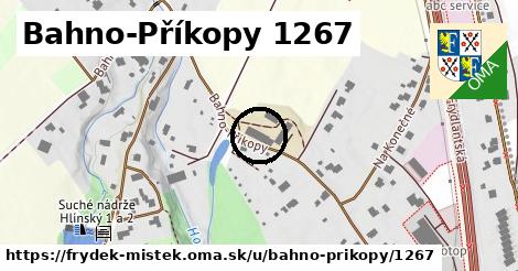 Bahno-Příkopy 1267, Frýdek-Místek