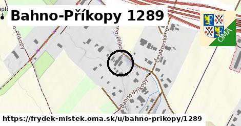 Bahno-Příkopy 1289, Frýdek-Místek
