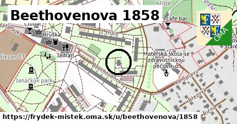 Beethovenova 1858, Frýdek-Místek