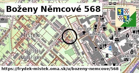 Boženy Němcové 568, Frýdek-Místek