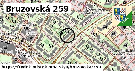 Bruzovská 259, Frýdek-Místek