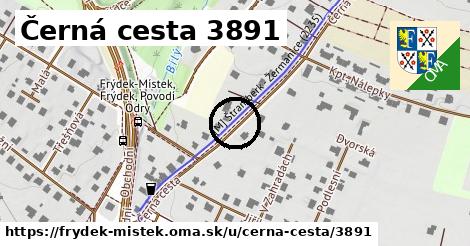 Černá cesta 3891, Frýdek-Místek