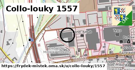 Collo-louky 1557, Frýdek-Místek