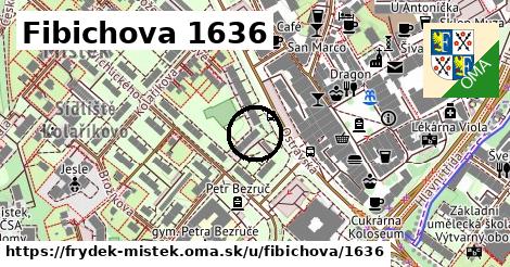 Fibichova 1636, Frýdek-Místek