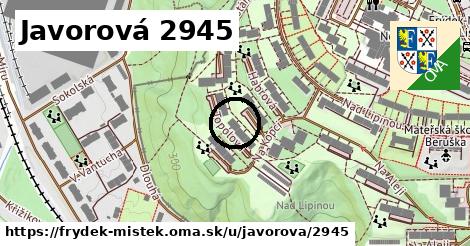 Javorová 2945, Frýdek-Místek