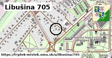 Libušina 705, Frýdek-Místek