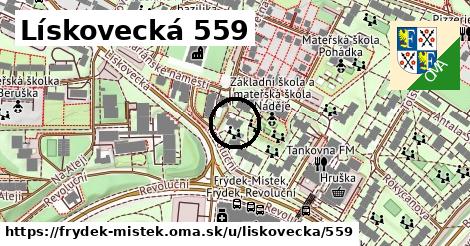 Lískovecká 559, Frýdek-Místek