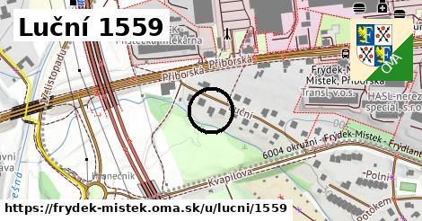 Luční 1559, Frýdek-Místek