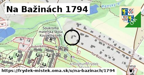 Na Bažinách 1794, Frýdek-Místek