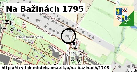 Na Bažinách 1795, Frýdek-Místek